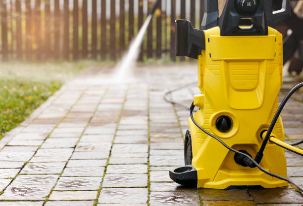Best Solar Panel Cleaning  in Roessleville, NY